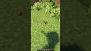 Tadpole Physics in Minecraft