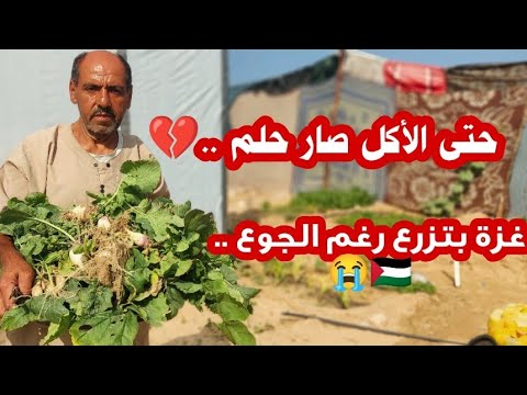 ما تتجاهلونا زرعنا وأكلنا من خيمتنا رغم الحصار والجوع والقهر قصة صمود غزة التي لا ت ر