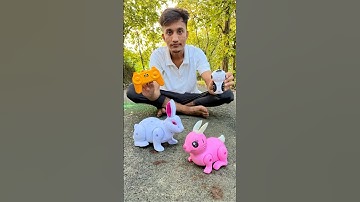 Big and Small two Remote control rabbit 🐇 testing