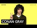 Conan Gray &quot;Alley Rose&quot; Official Lyrics &amp; Meaning | Genius Verified