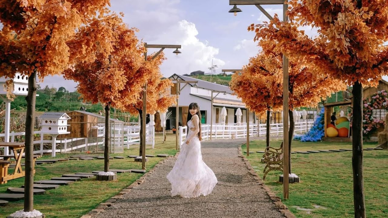 Trải nghiệm thực tế khu tổ hợp  Sun Valley Farm - Bảo Lộc Nông trại, Vườn thú... Labaco Lâm Đồng.