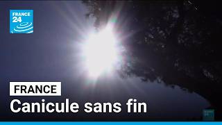 Canicule sans fin à Antibes : 5ème vague de chaleur en France • FRANCE 24