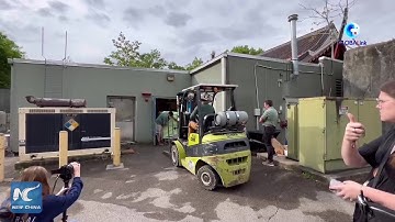 Giant panda Ya Ya departs Memphis Zoo
