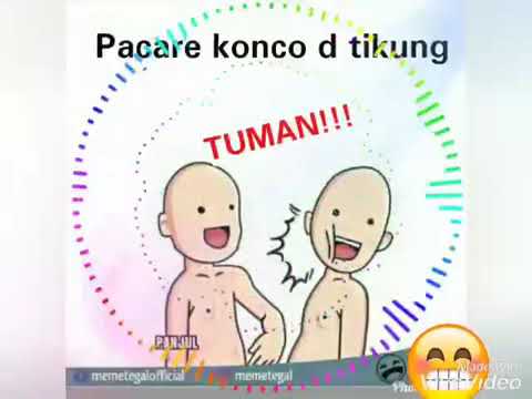 Wa Story Lucu TUMAN