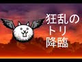 狂乱のトリ降臨 無課金攻略 みんなでにゃんこ大戦争