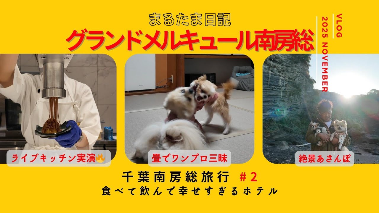 【犬連れ南房総】グランドメルキュール南房総｜食べて飲んで幸せすぎるホテルVLOG #2