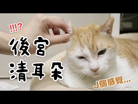 【黃阿瑪的後宮生活】後宮清耳朵！誰的耳朵最髒？