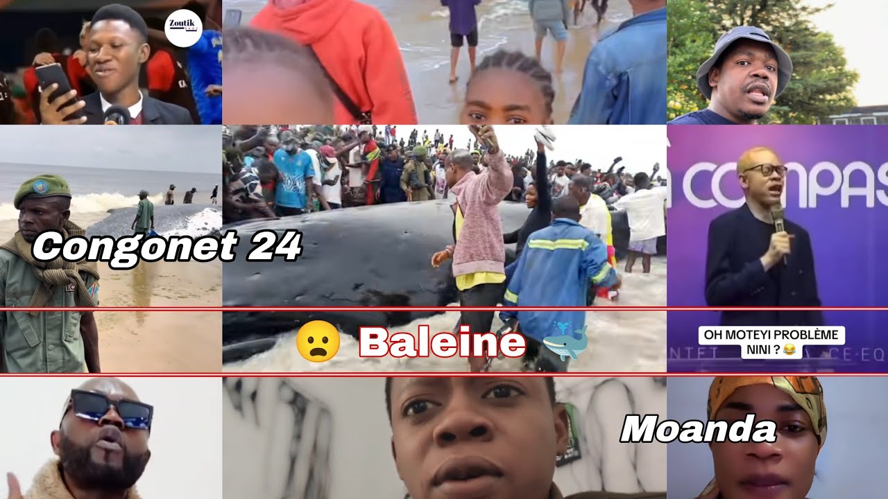 🤣🐋 Baleine akweyi na moanda yoka réaction ya ba #congolais 🤣 Oyo #mboka te pardon eh !