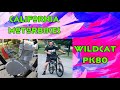 California Motorbikes Wildcat PK80 Finished!!