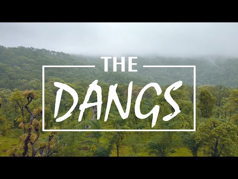 The Dangs - Forest & Waterfalls | Dang Jungle | Monsoon Madness | Wilderness India