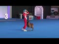 "The Final Countdown" Танцы с собаками Ильина Полина и малинуа Сабур
