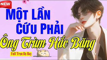 Tiểu Thuyết Siêu Cuốn - MỘT LẦN CỨU PHẢI ÔNG TRÙM HẮC BĂNG - Nghe Ngủ Ngon Đến Sáng