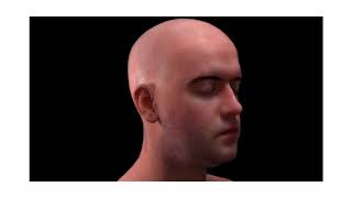 James Wilson Malazita - Is the Subject of Light Raced? PBR and Racial Mattering @Babycastles