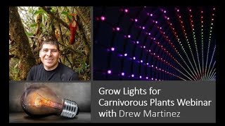 Grow Lights for Carnivorous Plants
