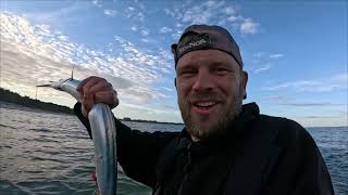 Unvergessliches Landschaften und prächtige Fische auf dieser Insel 🎣🏞