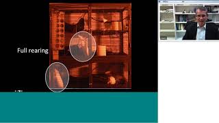 Animal Matters Seminar: A Good Life for Laboratory Animals