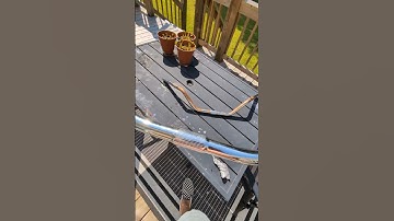 Simple Trick To Remove Rust Off Of Chrome! #shorts