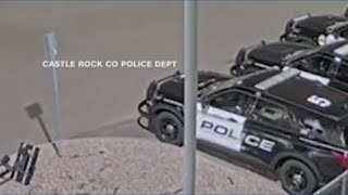 Bear scales fence into police station