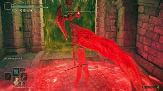 100 Hours of Elden Ring Experience
