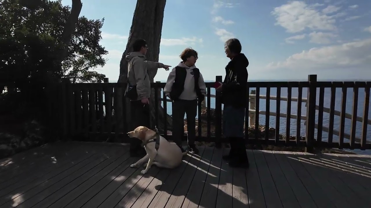 黄金崎で馬ロックを観る👀✨