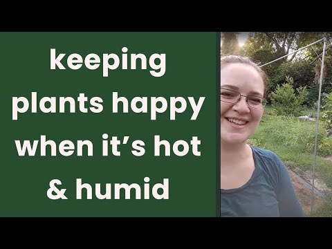 Farm tour! HOT SEASON crops & care