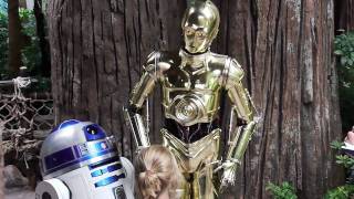 C-3PO talks with guests at Disney's Hollywood Studios during Star Wars Weekends