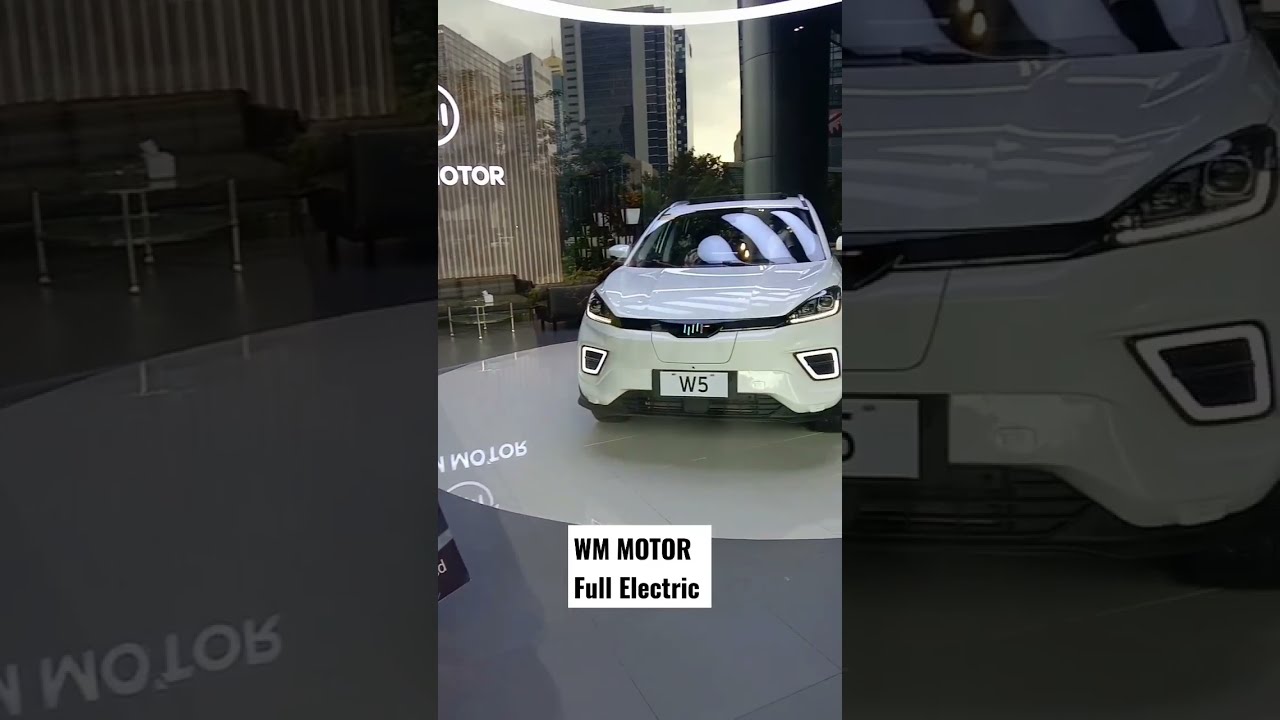WM MOTOR NO GAS ZERO EMISSION