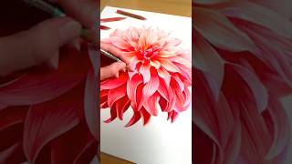 Dahlia colour Pencil Drawing: Smooth Gradients & Shading Techniques #art #drawing #sketch