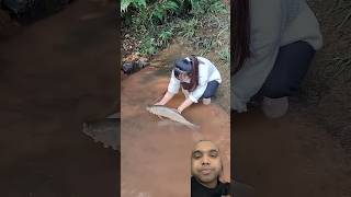 Big fish catch small river #fishing #fish #shorts