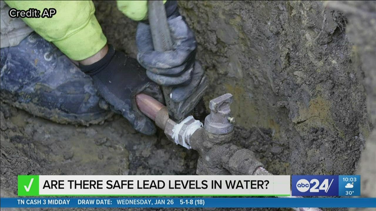 Lead Can No, any level of lead can have toxic manifestations - YouTube