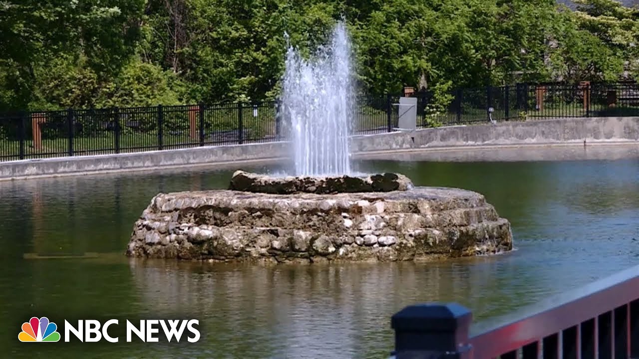 Teens killed a swan and a family later ate it, believing it was a big duck