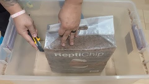 New Method to Break Down Reptichip with some ASMR