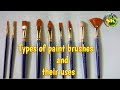 Types of paint brushes and their uses complete guide