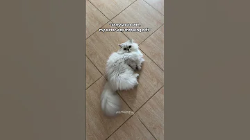 Yuna Throwing A Fit 