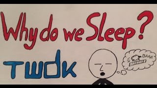 Why do we Sleep? [Science Video]