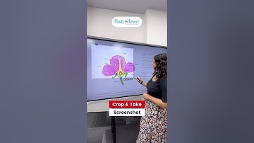 Interactive Flat Panel 75 Inch Digital Board For Teaching - Crop Tool - Whiteboard Classroom Setup