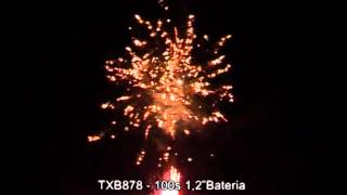 TXB878
