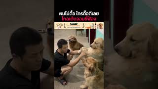 ผมไม่ดื้อนะ ใครดื้อจะฟ้อง