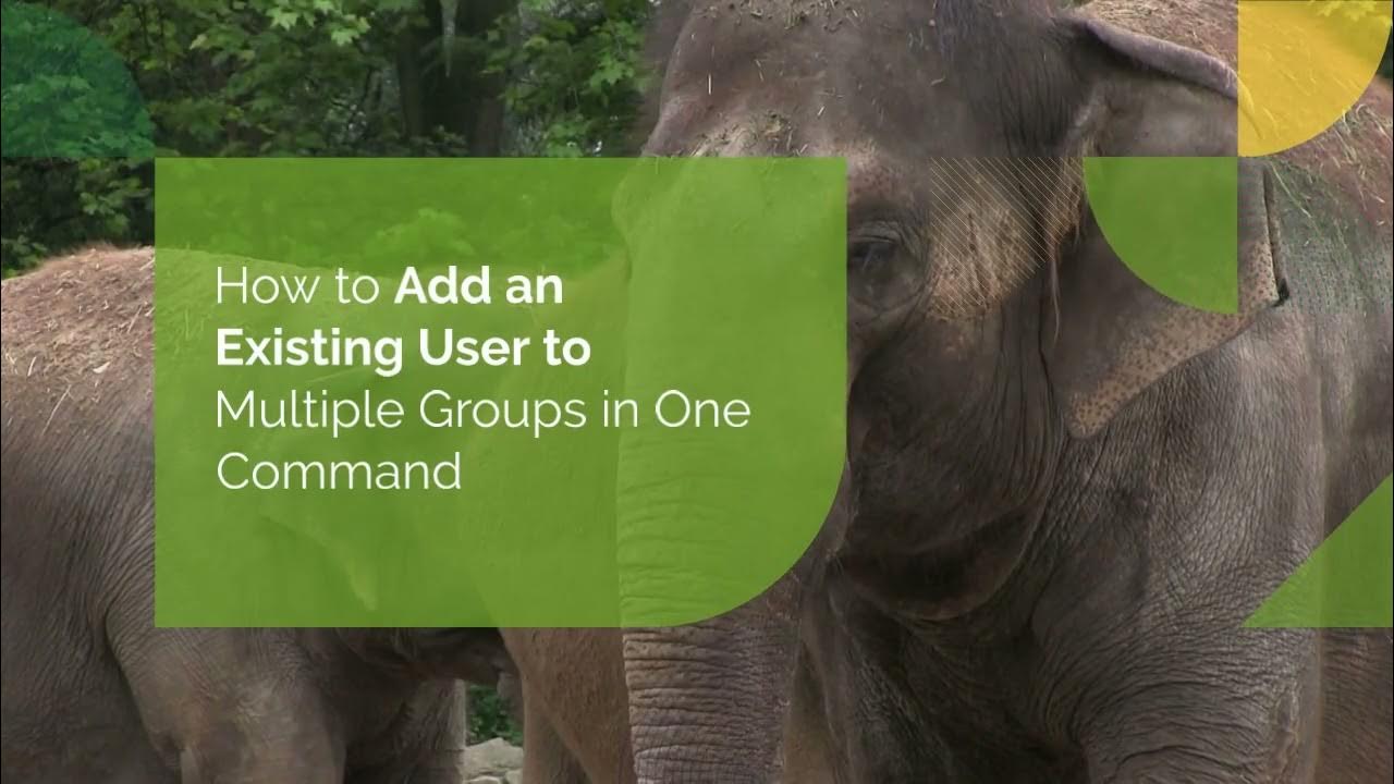 How to add user to group in linux creating and managing groups on