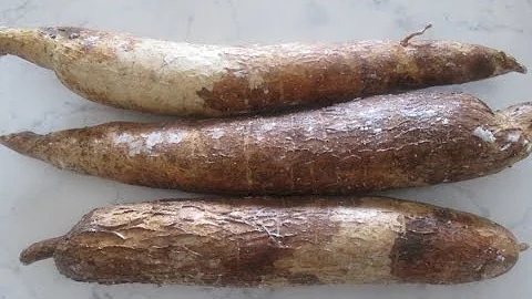 Che sapore ha la yucca?