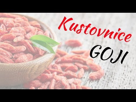 Video: Goji Bobule - Zdraví Prospěšné