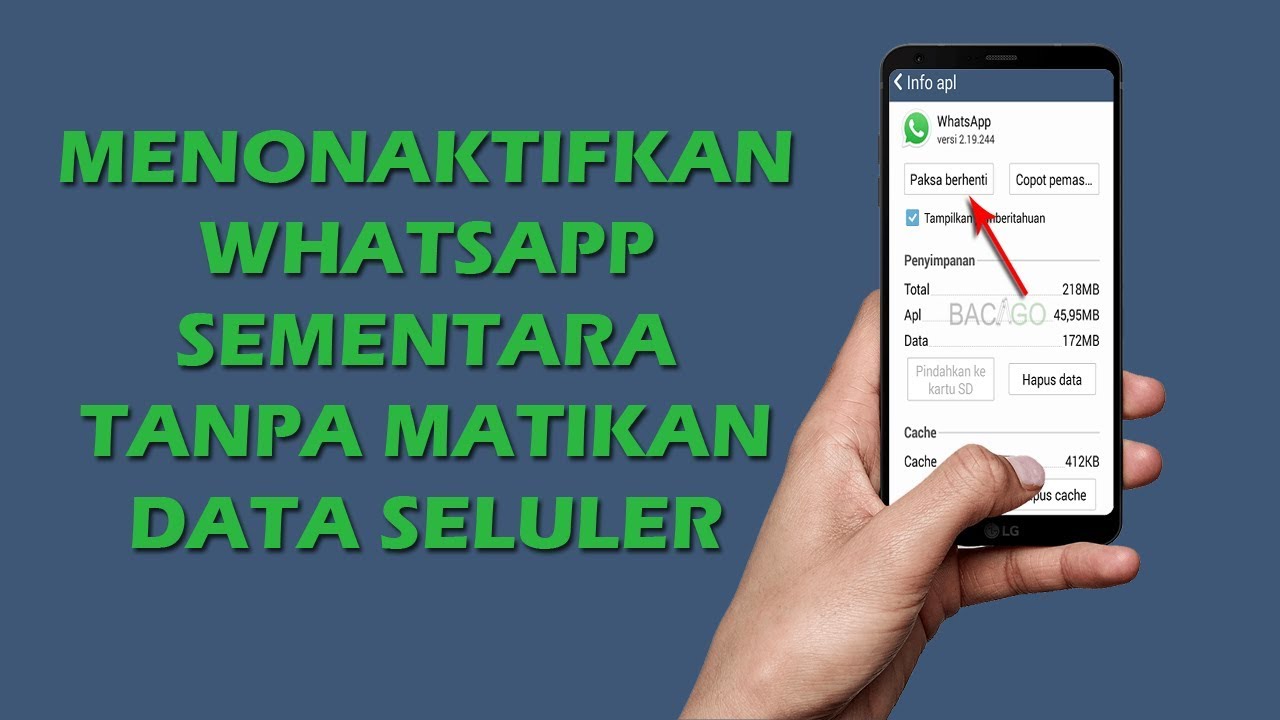 Cara Menonaktifkan Whatsapp Sementara Tanpa Mematikan Data Seluler Youtube
