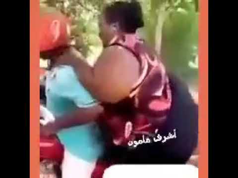 قولوا لها عيونها بلون الشجر مدحت صالح