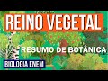 REINO PLANTAE E SUAS CARACTERÍSTICAS | Resumo de Biologia Enem: O Reino Vegetal. Prof Claudia Aguiar