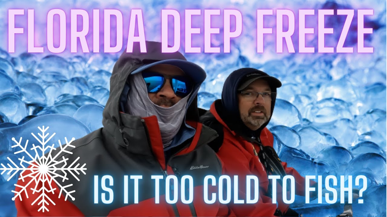 EXTREME Cold - What's biting when its this COLD in SW FL? - YouTube