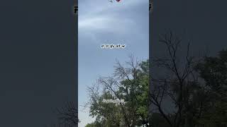 punjabi shayari short status #sad #shorts #sayaristatus #shortsfeed #viral #punjabi #quotes #punjab