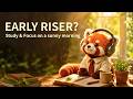 EARLY RISER? ☀️ Quiet Morning Lofi to Focus & Start the Day