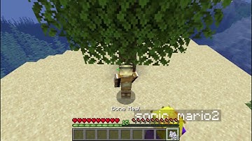 Gold Experience in Minecraft