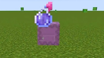 What if you threw invisible potion  on Shulker in Minecraft