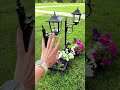 These solar light planters make the perfect Mothers Day gift!
